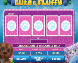 Cute and Fluffy Gamble Screen