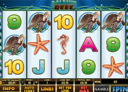 Screenshot of Dolphin Reed Slot from Playtech