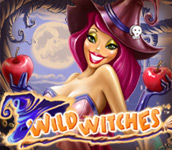 Wild Witches Video Slot