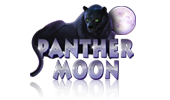 Panther Moon Slot Logo