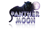 Panther Moon