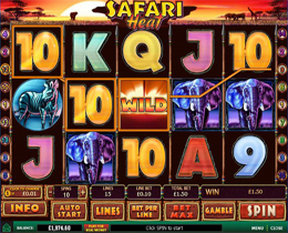 Safari Heat Slot Main Screenshot